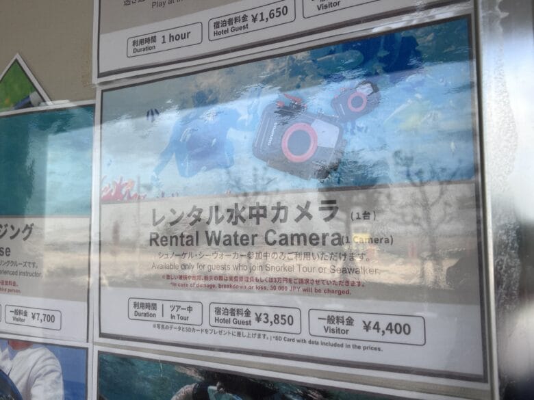 シェラトン沖縄サンマリーナリゾート アクティビティ ブログ ジップライン 料金