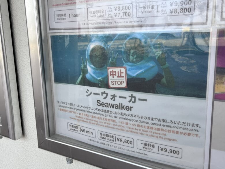 シェラトン沖縄サンマリーナリゾート アクティビティ ブログ ジップライン 料金